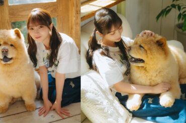 与田祐希さんが遊びに来てくれました！（チャウチャウ｜月刊わんこ撮影オフショット）