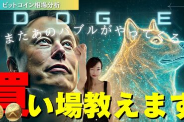 【速報】今夜ドージコインETF承認で歴史的バブルへ突入か〜あのバブルがまたやってくる