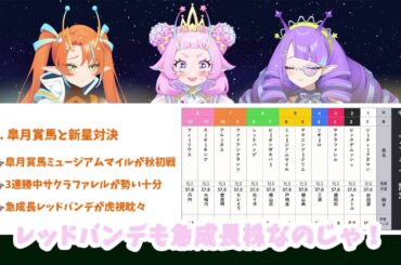【セントライト記念2025完全攻略】2200mの壁！皐月賞馬 vs 新星対決！【競馬予想】
