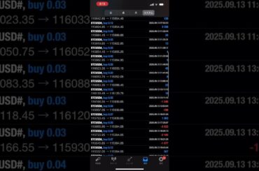 【EA自動売買4日目】ビットコイン10万円