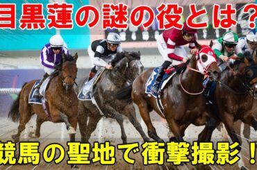 府中市の競馬の聖地で撮影進行中のTBS日曜劇場『ザ・ロイヤルファミリー』が2025年に公開、目黒蓮の未知の役どころと20年スパンの壮大な物語の秘密を解き明かす | メメの瞬間