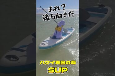 【ハワイ天国の海】サンドバーでSUP♪（オプショナルツアー）