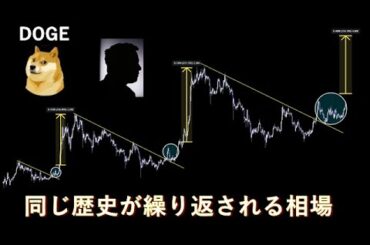 【心配無用】むしろ最高の展開です【doge ドージコイン】