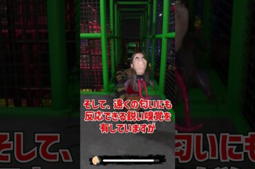 ネクロピードを再びざっくり解説【The Classrooms】【ホラゲ】 #Shorts