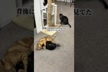 こはくVSヨルちゃん②。