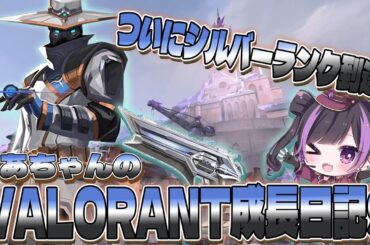 【 VALORANT 】くあちゃんのVALORANT成長日記9　シルバー昇格しました＿＃Qourちゃん