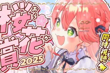 【 桜花賞 】春のG1桜花賞2025で夢を賭ける！にぇ！！！！！！！【ホロライブ/さくらみこ】