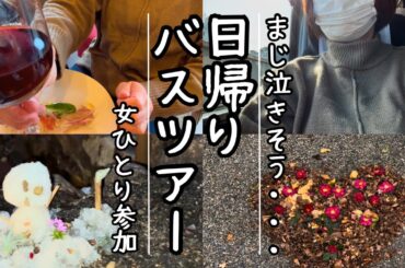 【女ひとり旅】日本一の縁結びスポット！日帰りバスツアー！幻想的な美山かやぶきの里！京都観光！