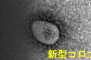 新型コロナウイルス感染者数 4週ぶりに減少 引き続き感染対策を 宮城