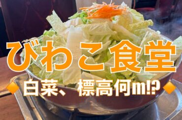 聳え立つ白菜は標高何m⁉️ 『びわこ食堂』で出会った滋賀県のソウルフード『とりやさい味噌鍋』たっぷり白菜の奥底に眠るは…【みずのっち孤食旅】