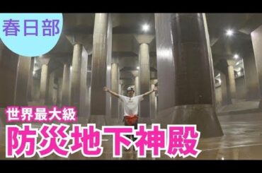 知られざる奥地へ！カナイリポーターが地下神殿を大冒険！【いまドキッ！埼玉】2025.9.13放送