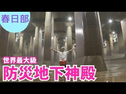 知られざる奥地へ!カナイリポーターが地下神殿を大冒険!【いまドキッ!埼玉】2025.9.13放送 知られざる奥地へ!カナイリポーターが地下神殿を大冒険!【いまドキッ!埼玉】2025.9.13放送