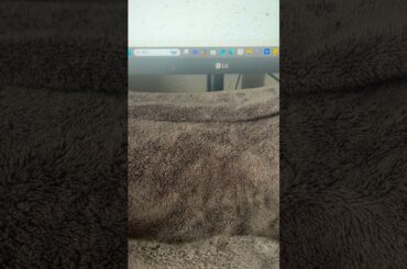 内田真礼に聞きたい15の質問2025 09 17 思念体抜き取りからの理解フォース