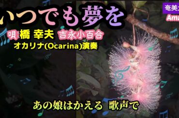 いつでも夢を·Japanese Song·橋 幸夫/吉永小百合·歌詞付き·1446曲目·オカリナハイビスOcarina Hibi‘s