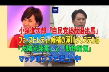 小泉進次郎「自民党総裁選出馬」ファーストレディー候補の滝川クリステルは「太陽光発電」と「動物愛護」マッチポンプで炎上中　＃滝川クリステル　＃小泉進次郎　＃太陽光パネル　＃再生可能エネルギー