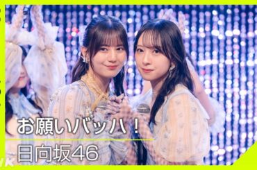 【Venue101】日向坂46／お願いバッハ！│テレビ初披露の金村美玖と小坂菜緒のWセンター曲！この曲で河田陽菜が卒業│NHK