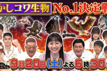 9月20日（土）サンドウィッチマン＆芦田愛菜の博士ちゃん　満島真之介・ココリコ田中直樹も驚愕！かしコワ生物Ｎｏ.１決定戦ＳＰ！