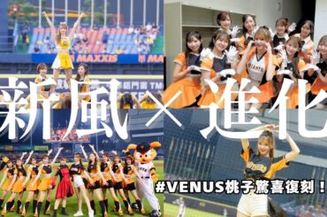 【夢幻再會】中信兄弟×讀賣巨人⚾桃子換上巨人時期制服登場🔥｜【夢の再会】中信兄弟×読売ジャイアンツ⚾VENUS菊池桃子の復活⁈
