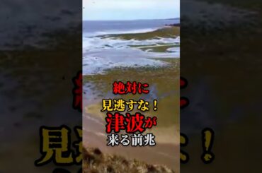 絶対に見逃すな！津波が来る前兆 #都市伝説 #宇宙 #怖い話 #UFO