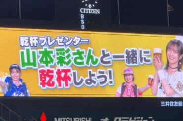 カウントバージョン　さや姉乾杯ありがとう　2025年9月19日