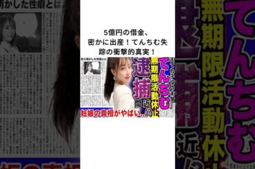 5億円の借金、密かに出産！てんちむ失踪の衝撃的真実！#てんちむ