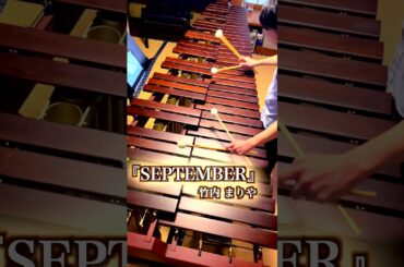 🎶マリンバでノリノリ！竹内まりや『SEPTEMBER』ソロ演奏