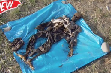 🕵️‍♂️ 鑑識特捜班・九条礼子３～骨を知る女～ 👮 最高の探偵・犯罪映画 #邦画