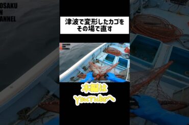 津波と台風直後　#漁師 #おすすめ #shorts