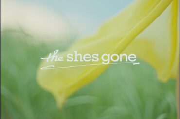the shes gone「まぼろし」Music Video【テレ東系 ドラマ24「40までにしたい10のこと」EDテーマ曲 主演: 風間俊介 出演: 庄司浩平】