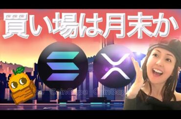 現在急騰しているAster について 今年はアノマリー通りではない