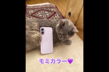 新しいiPhoneはモミカラーにしました💜