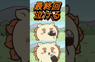 【ちいかわ最終回】泣ける... #ちいかわ最新話 #ちいかわシーサー #ちいかわ256