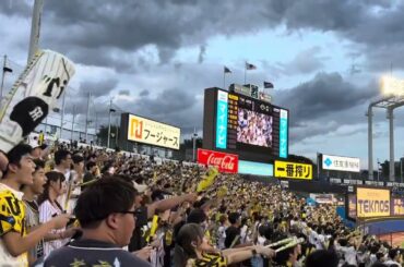 2025/09/21 阪神タイガースVS東京ヤクルトスワローズ タイガーススタメン発表