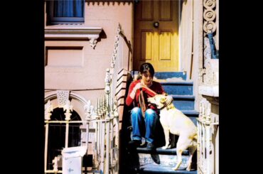 ZARD - 窓の外はモノクローム