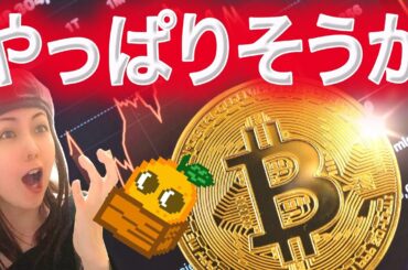 ビットコイン歴史通りか どこまで下がる？