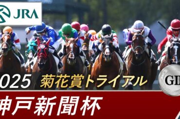 2025年 神戸新聞杯（GⅡ） | 第73回 | JRA公式