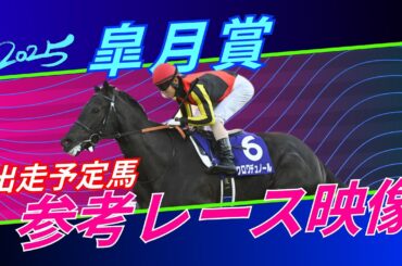 皐月賞2025 参考レース