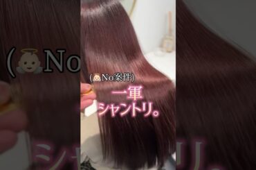 【リアル最推し】ヘアケアオタク愛用シャンプー 。髪質が変わる。👼🏻🤍#美容#shorts