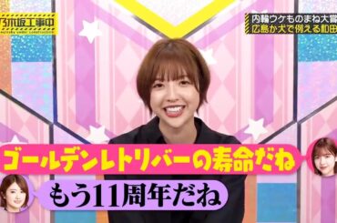 和田まあや💖､内輪ウケものまね大賞､乃木坂11周年を､ゴールデルレトリバーの寿命に例えてしまう🐕️💧｡…(笑)#和田まあや #乃木坂46 #乃木坂工事中