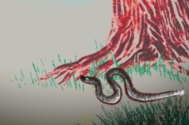 琉球サウダーヂ　#602 8月①ヒンプンガジュマル