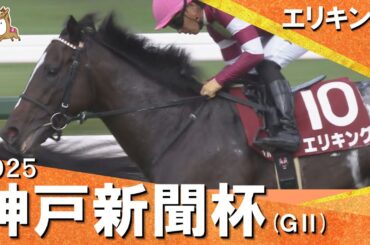2025年 神戸新聞杯(ＧⅡ) エリキング　実況：川島壮雄【カンテレ公式】