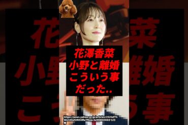 【速報】花澤香菜と小野の離婚、こういう事だった..