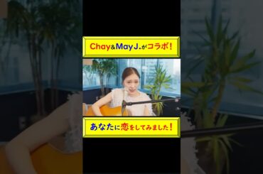 ChayとMay J.が夢のコラボ！あなたに恋をしてみました！ #Chay #May.J #コラボ #あなたに恋をしてみました #弾き語り #新しい出会い #ハモリ #ハーモニー @トレンドコラボ