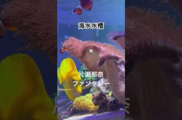 海水水槽✖ #片瀬那奈 #ファンタジー / #Fantasy #ヒカルの碁 #GALAXY #TELEPATHY #HikaruNoGo #囲碁 #ジャンプ #2002
