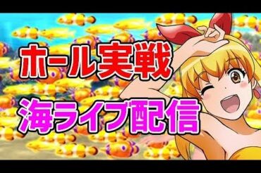 【今年-217万】大海物語4ブラックパチンコライブ配信