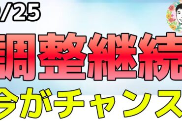 人気銘柄が爆下げ中！これをチャンスと捉えられるか⁉【9/25 米国株ニュース】
