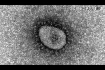 新型コロナ感染者数 2週連続で減少も「リンゴ病」は依然警戒レベル 宮城