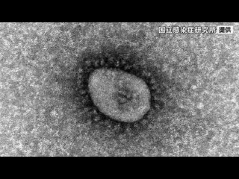 新型コロナ感染者数 2週連続で減少も「リンゴ病」は依然警戒レベル 宮城 新型コロナ感染者数 2週連続で減少も「リンゴ病」は依然警戒レベル 宮城