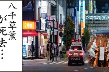 八千草薫の最期の予兆に涙が止まらない...八千草薫の息子を襲った病気の真相に一同驚愕！