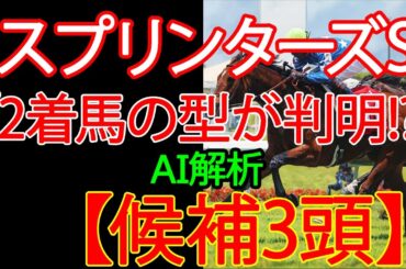 【スプリンターズステークス2025】AI×過去10年データで読む“勝ち馬の型”-1着候補3頭 ｜競馬予想